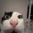Alex_Plaginov
