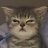 Luna_Bednieva