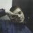Grigoriy_Markov