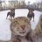 Andrey_Muller