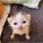 Anna_Hale
