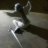 Leo_Carleneo