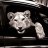 Artem_Winthrop