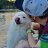 Dmitriy_Catton