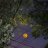 Evgenii_Lonely