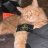 Marti_Galante