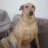 Lamine_Yamal