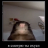 Alexei_Yeltsin