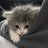 Hugochka_Amsterdamov??