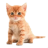 sergey_lytkin