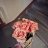 Gladi_Ancifer