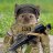 Matvei_Murphy