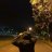Artyom_Kukushkin