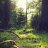 Chester_Brin