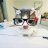 Arsen_Yarrow