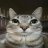 Kirill_Karpunkin