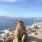 Klim_Smirnow