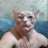 Kato_Mauzer