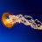 Georgiy_Lebedev