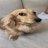 Koka_Magic