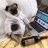 Vanya_Savin