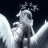 Chappa_Qwinside