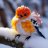 Misha_Mityushin