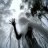 Lim_Markov