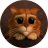 Евгений Кот