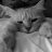 Ferd_Lacoste