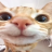 Stepan_Viperr