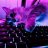 Andy_Nelson