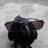 Anton_Esenin