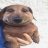 Timofey_Montanno