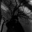 Dmitry_AIexeev
