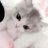 Dilya_Wide
