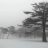 Almaz_Taev