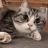 Zmey_Starover