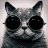 Tonny_Vilhena