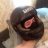 Maxim_Torette