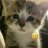 Mizuki_Milston