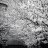 Artem_Firsov