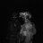 Marick_Marakesh