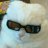 Christian_FIores