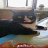 Mikhail_Waleson