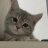 Artem_Zayats.