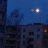 Leonid P