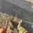 Antosha_Ponomarev