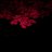 Nikita_Gloory