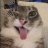 Rostislav_Maysof